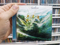 Cd Gulliver - Ridin' The Wind * Imp - Soft Rock