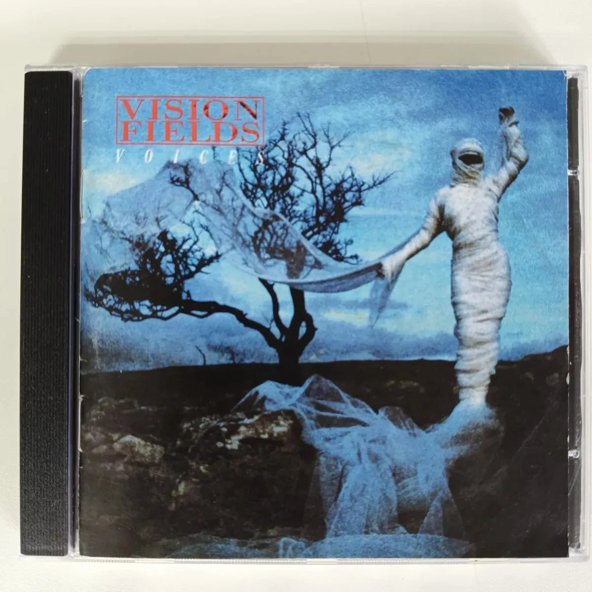 Cd Vision Fields-voices *hard Aor Aviator Alien Talk Of The