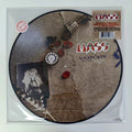 Lp Mass-voices In The Night *picture Disc Stryper King James