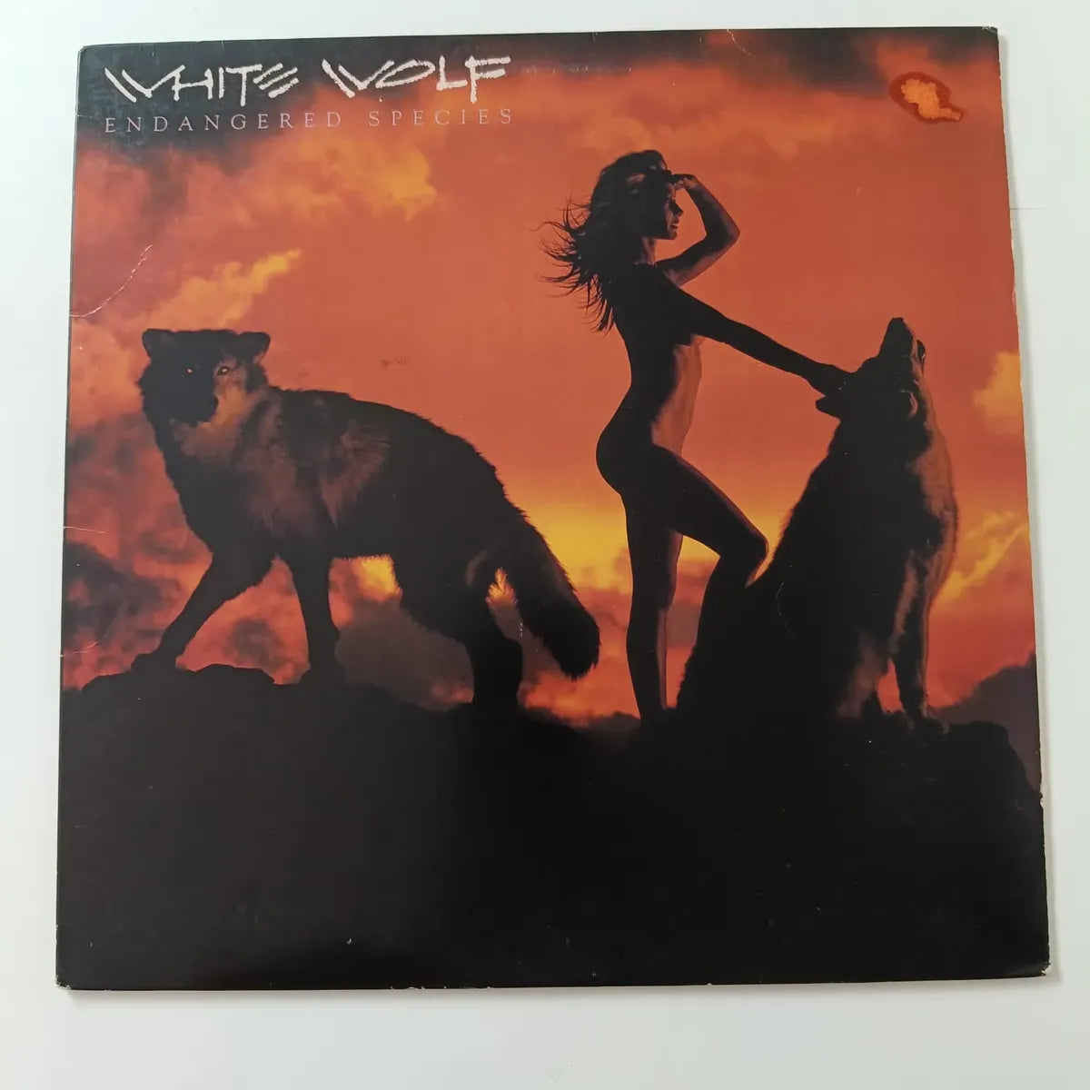 Lp White Wolf - Endangered Species 1986 - Rca Usa De Época