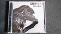 Cd - Fizbers - First Mind * Poland - Prog Rock - 2017