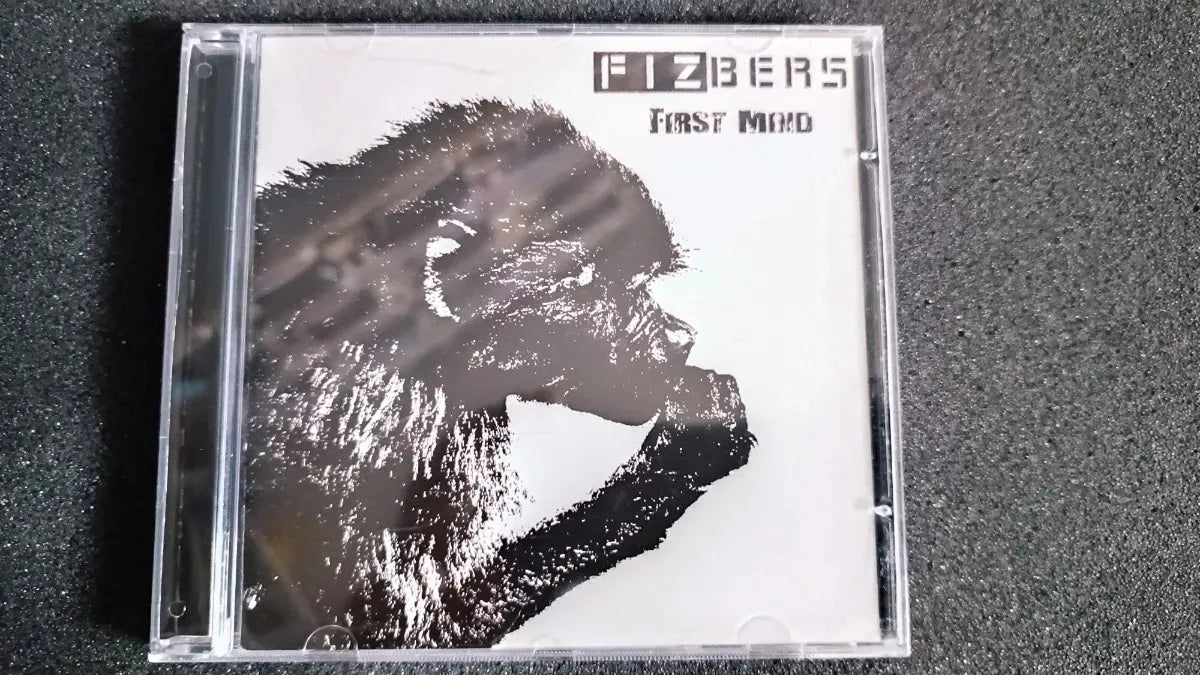 Cd - Fizbers - First Mind * Poland - Prog Rock - 2017