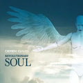 Cd Derek Davis - Revolutionary Soul 2017 Babylon A.d Import