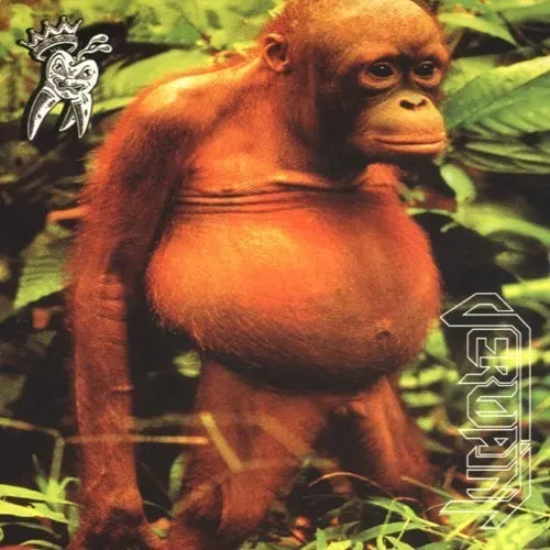 Cd Verwaint-ohh!rang Uhh!tang *thrash Metal 1994