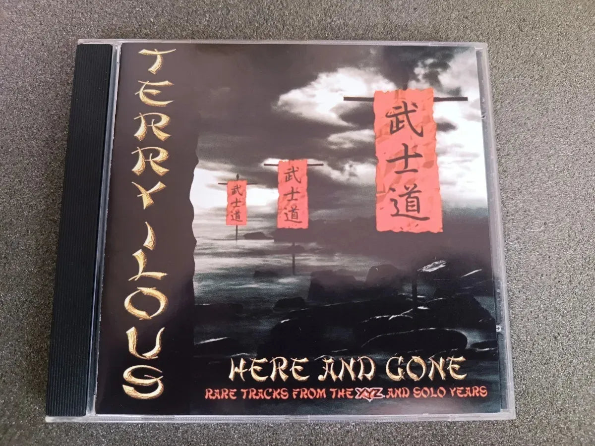 Cd - Terry Ilous - Here And Gone Vocal Xyz Importado 2007