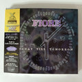 Cd Fiore - Today Till Tomorrow 1998 Hard Aor Harry Hess Obi