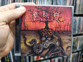 Cd E.vil N.ever D.ies - Ekpyrosis * Imp - Thrash Metal