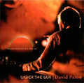 Cd David Paton-under The Sun*guitarra Vocal Pilot Solo Album