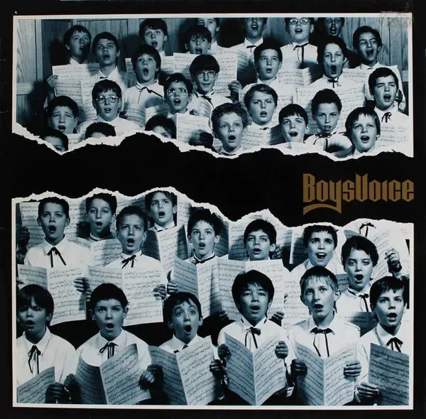 Lp Boysvoice - Boysvoice (1990) Hard Rock Vinil Alemão