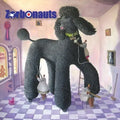 Cd Zorbonauts-tall Tails*prog Art Rock Asia 2020